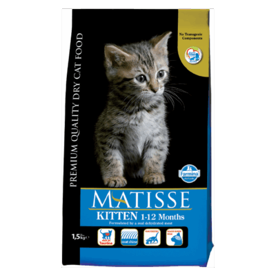 Matisse Kitten