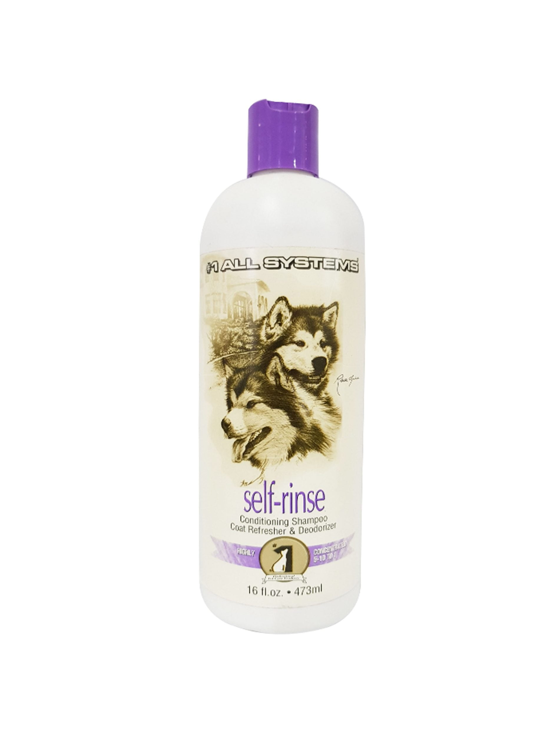 Self-Rinse Conditioning Shampoo