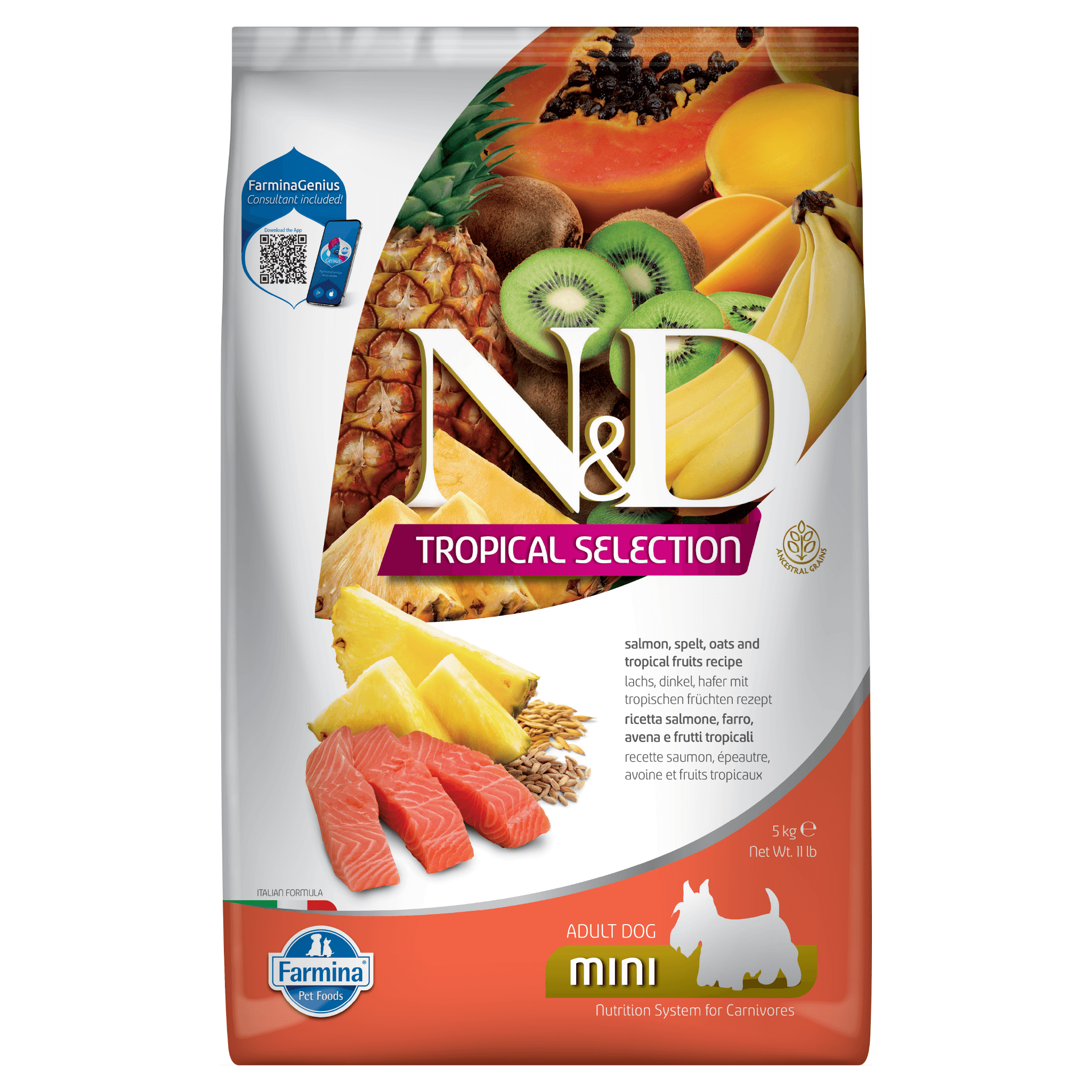 N&D Tropical Salmon ADULT Mini Kibble Size Dry Dog Food - Image 2